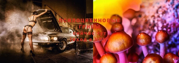 СК Лагань