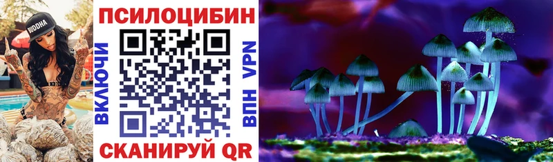 Галлюциногенные грибы Psilocybe  Купить  Ревда 